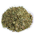 herberex_epimediumbrevicornumleaf.jpg_140